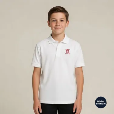 Polo di rappresentanza